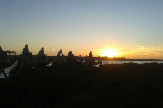 Tour image 6
