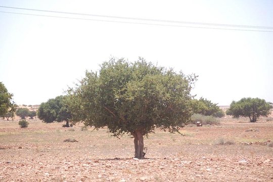 Tour image 10