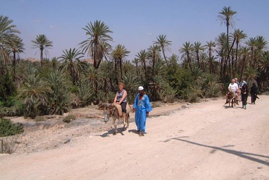 Tour image 6