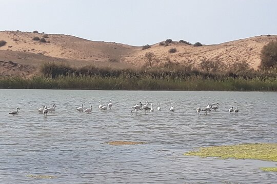 Tour image 4