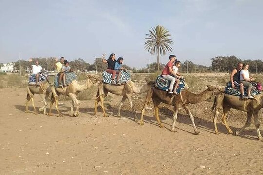 Tour image 11