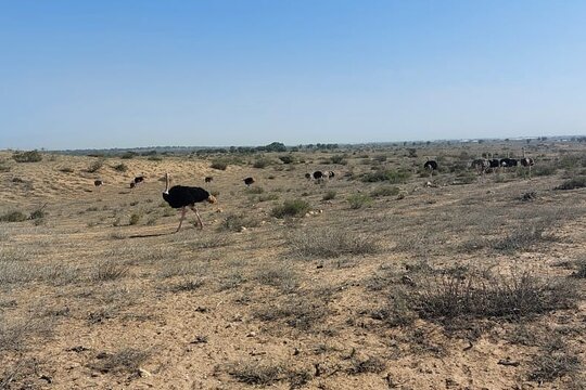 Tour image 12