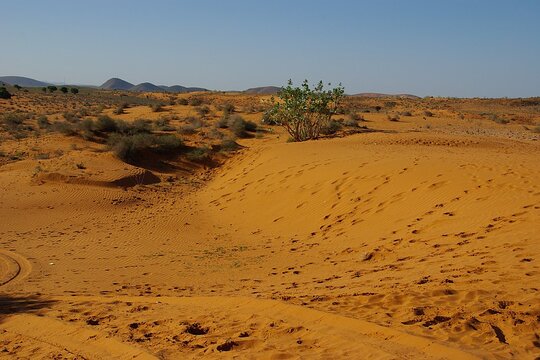Tour image 10