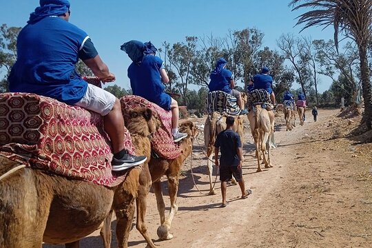 Tour image 11