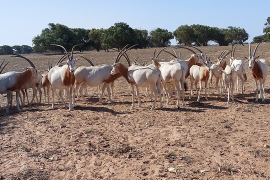 Tour image 5