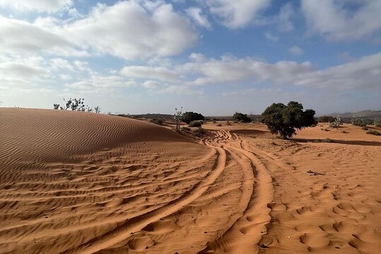 Tour image 11